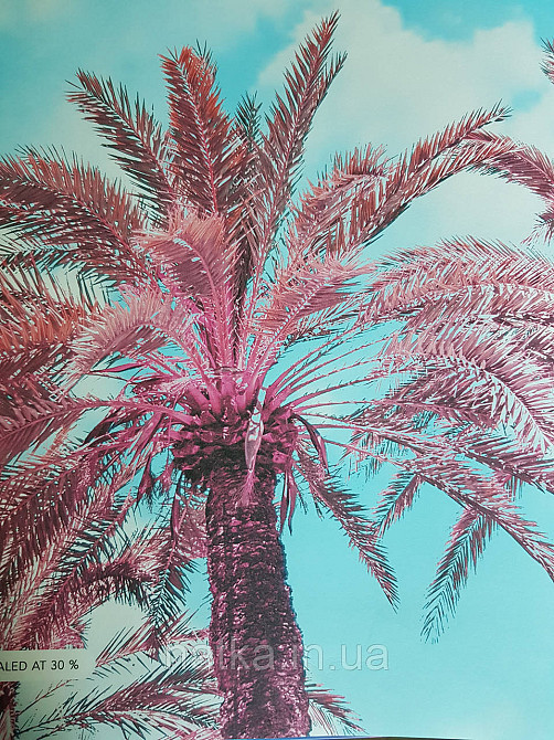 Обои флизелиновые эко Decoprint Good Vibes 180х280 панно мурал пальмы небо облака Киев - изображение 2