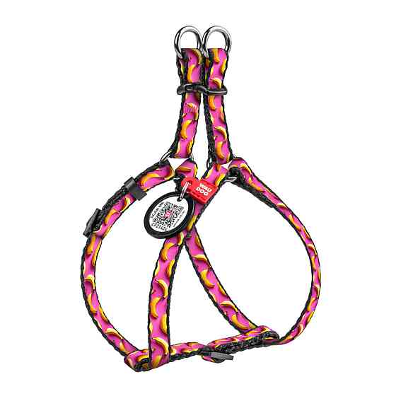 Шлея для котів та дрібних порід собак WAUDOG Nylon з QR паспортом, малюнок "Банани на рожевому", пластиковий фастекс, XS, Ш 10 мм, A=B 30-40 Київ