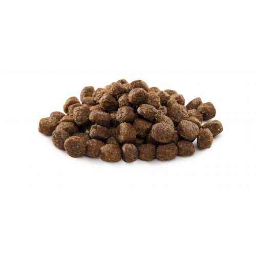 Корм сухий Brit Premium Dog Adult S для дорослих собак дрібних порід вагою 1-10 кг з куркою 1 кг Київ