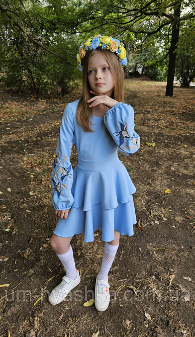 Дитяче плаття з вишивкою на рукавах Поділля-ластівки Кривий Ріг - фото 6