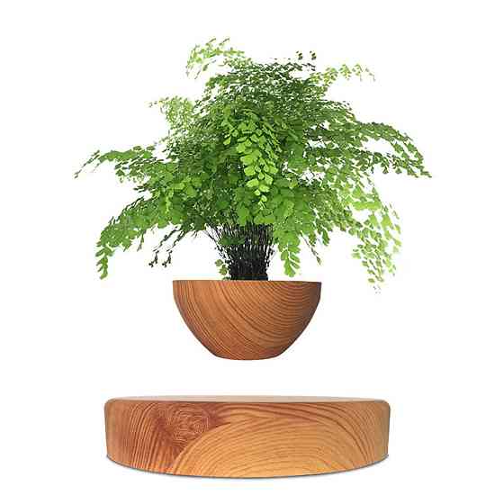 Магнітний левітаційний горщик для рослин HCNT Magnetic Levitating Pot M10-PS Wood Grain Киев