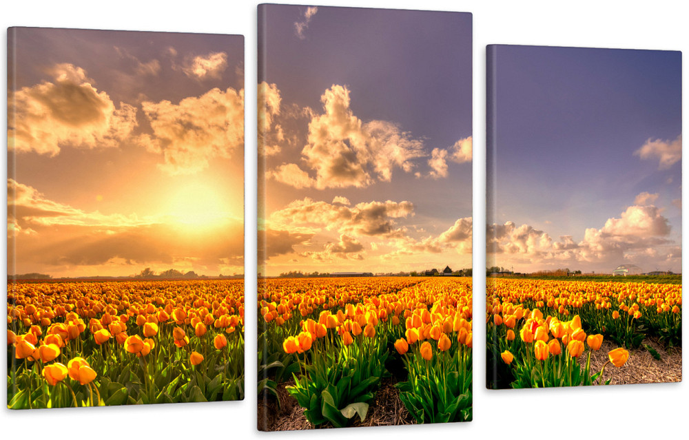 Модульная картина в гостиную / спальню Жовті тюльпани Art-572_3 70x130 см Киев - изображение 1