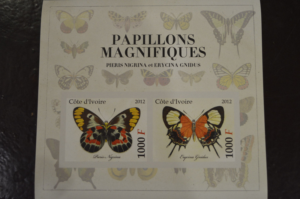 Кот-Д'івуар. Фауна. Марки. Блок. 2012 рік (І) Полтава - фото 1