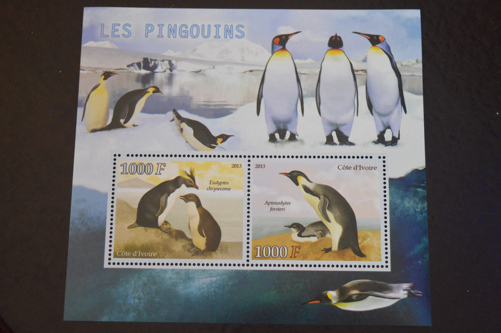 Кот-д'Івуар. Фауна. Блок. 2015 рік (В-6) Полтава - фото 1