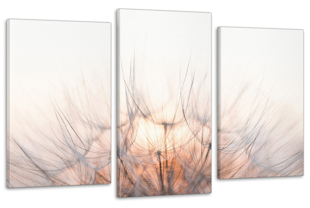 Модульная картина в гостиную / спальню  Квіти  кульбаба Art-690_3 Киев - изображение 1