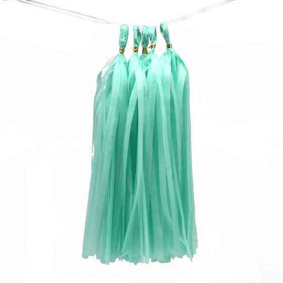 Кисточки тассел бумажные гирлянды 5 шт 35 см ментоловый Киев