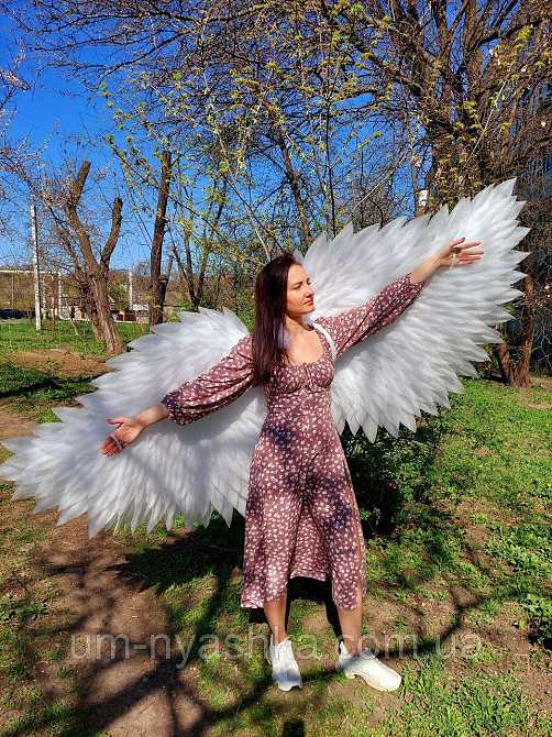 Крылья Ангела взрослые гибкие подвижные Кривой Рог - изображение 3