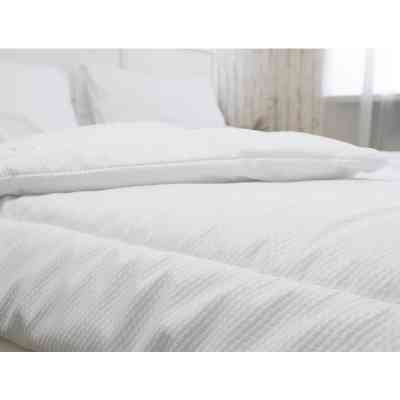 Одеяло Руно силиконовое белое Вафелька 140х205 (321.52СЛБ_Білий_1) Винница