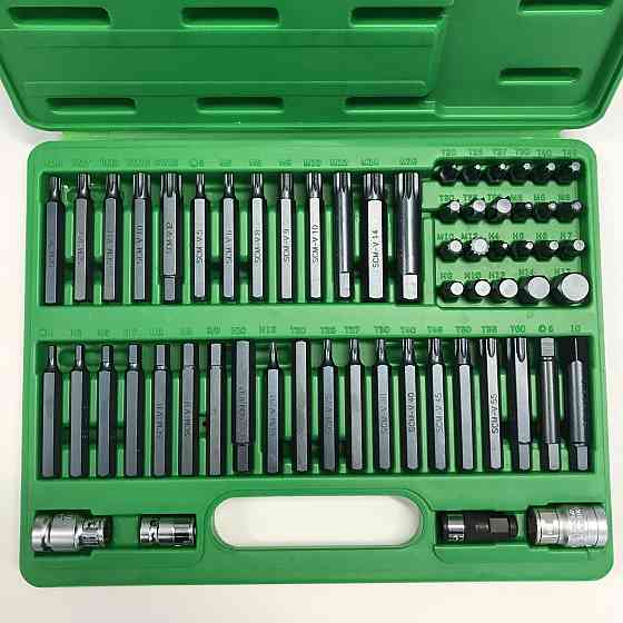 Профессиональный набор бит TORX, HEX, SPLINE, RIBE, SQ 60ед. TOPTUL GCAI6003 Одесса