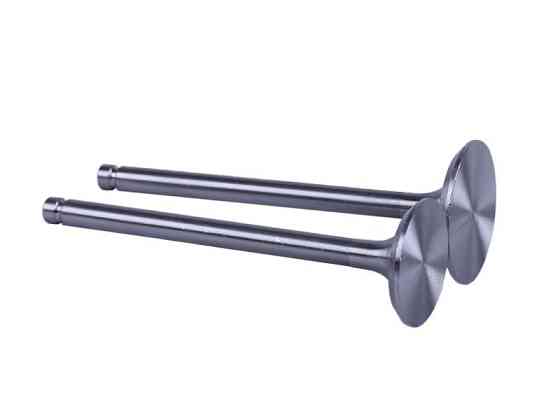 Клапаны (пара, голые) мотоблок 195N (12Hp) (L-120mm) Zubr-2 Мукачево