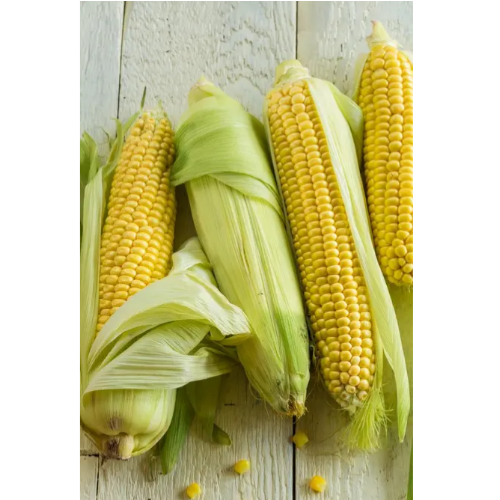 Кукурудза Брусниця 10гр Смачний Житомир - фото 3