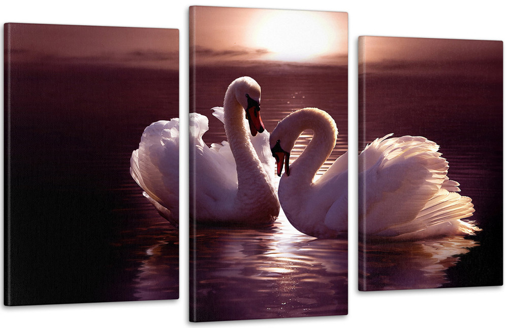 Модульна картина Лебеді Art-124_3 Київ - фото 1