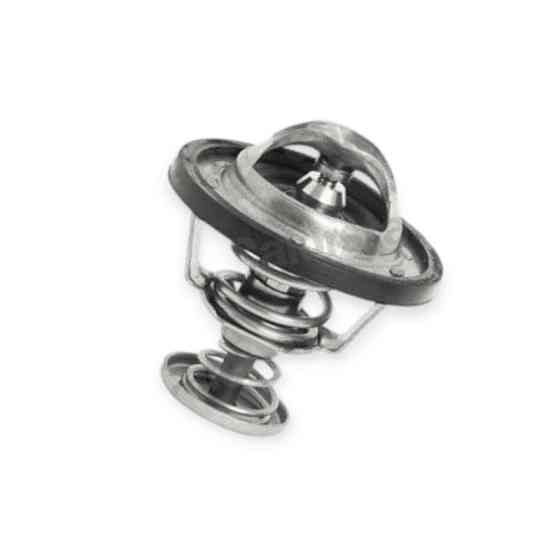 Термостат Master 3.0dCi (2004-) Renault Мукачево