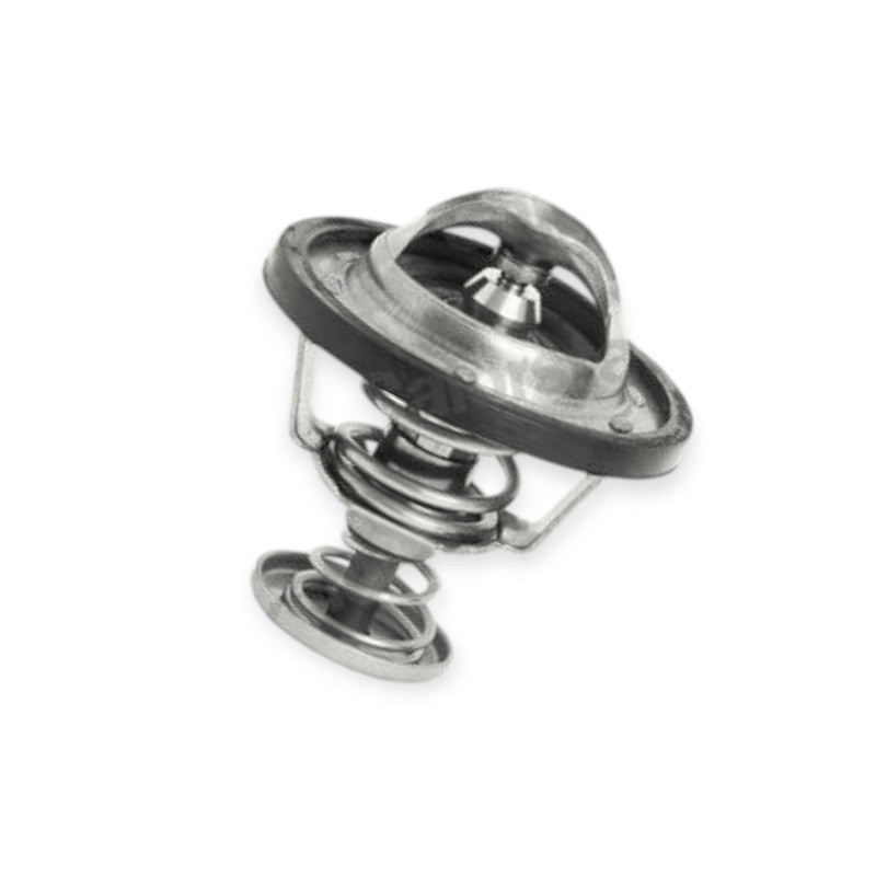 Термостат Master 3.0dCi (2004-) Renault Мукачево - изображение 1