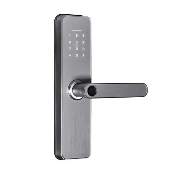 Замок біометричний автономний Trinix TRL-5405BTF Silver L/R з Bluetooth, зчитувачем відбитків пальців і карт Mifare (65-00088) Київ