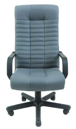 Офісне Крісло Керівника Richman Atlant Madrit 0980 Пластік М2 AnyFix Сірий Дніпро