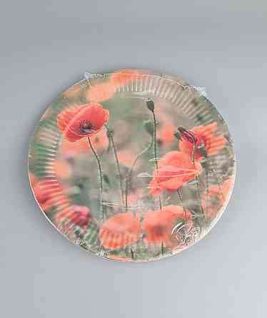 Тарілка паперова 23 см "No60 10 шт (1 пачка) Харків