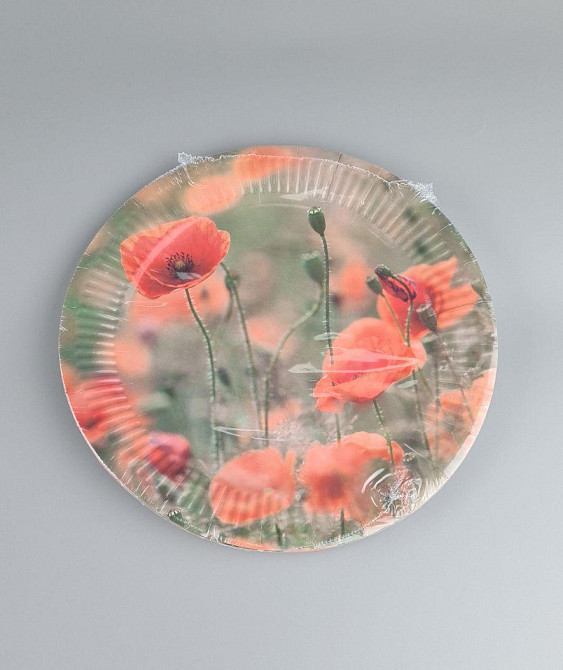 Тарілка паперова 23 см "No60 10 шт (1 пачка) Харків - фото 3