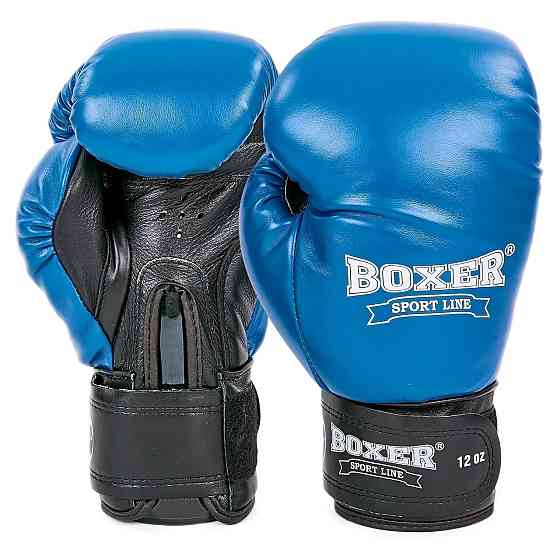 Рукавиці боксерські Еліт BOXER 10 oz Шкіра Вишневе