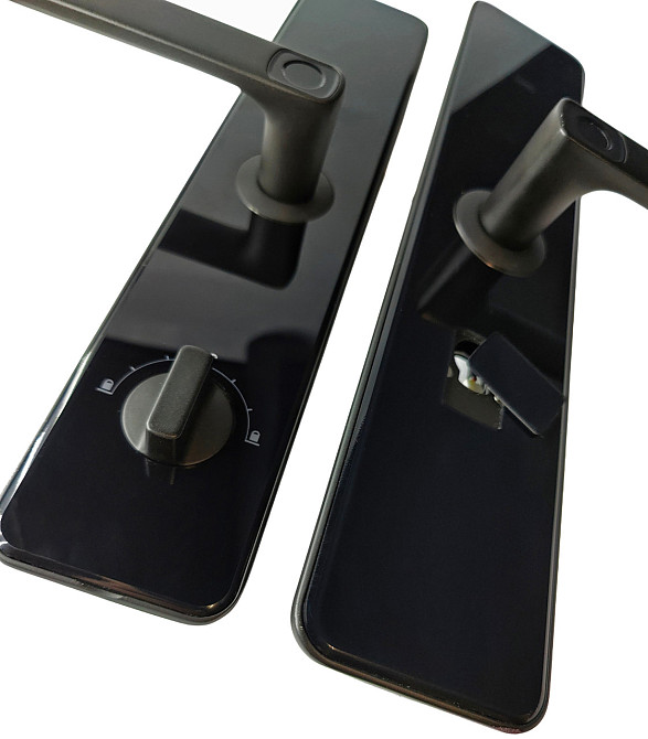 PES Collie чорний Київ - фото 5