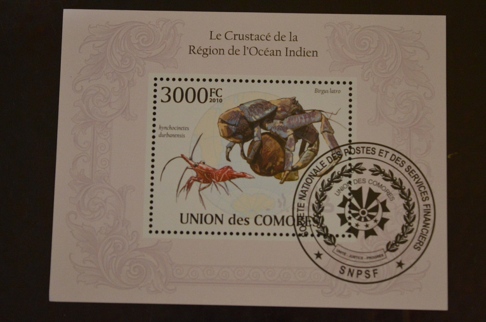 Коморы. Марки. Фауна. Блок. 2010 год (В-5) Полтава - изображение 1