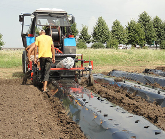 Мульча 30 мкм Shadow 1м*10 м плівка для мульчування ґрунту з перфорацією пакетована Дніпро - фото 9