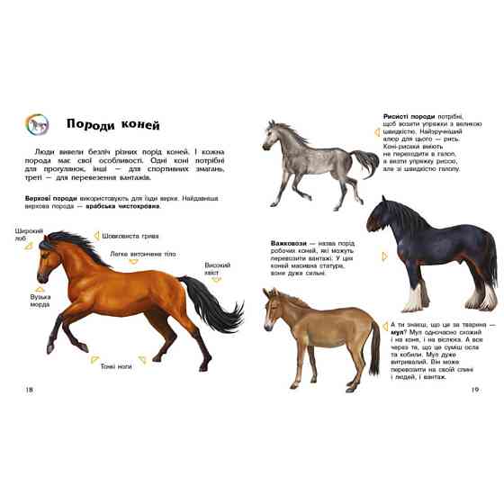 Енциклопедія дошкільника Коні 614037 для найменших Вінниця