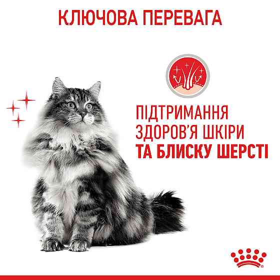 Корм для котів ROYAL CANIN HAIR&SKIN CARE 0.4 кг, для підтримки здоров’я шкіри та блиску шерсті Київ