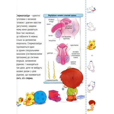 Книга Звідки я взявся? Правдиві відповіді на "незручні" питання Vivat (9786176909347) Винница - изображение 7