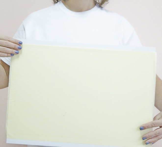 Липкий вкладыш для уничтожителей насекомых Pomel LPO-30 / LPO-30N Днепр - изображение 2