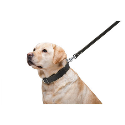 Поводок для собак Collar двойной с прошивкой Ш 14 мм Д 122 см черный (04521) Винница - изображение 6