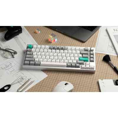 Клавиатура Lemokey P1 Pro Super Brown RGB Wireless/Bluetooth/USB Space Silver (P1P-X3-UA) Винница