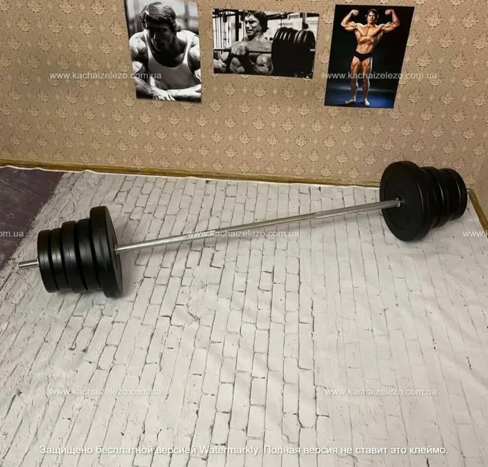 Скамейка для жима универсальная ReadMeBlack + штанга 75 кг Гантели, гири, штанги и диски АВС пластик комплект Киев - изображение 6