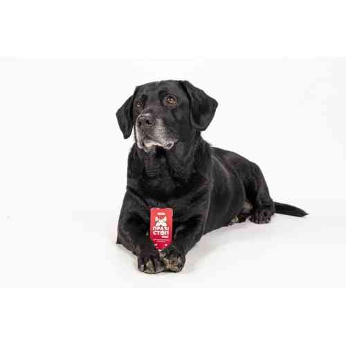 Таблетки Provet ПРАЗІСТОП УЛЬТРА для собак 2 табл Киев