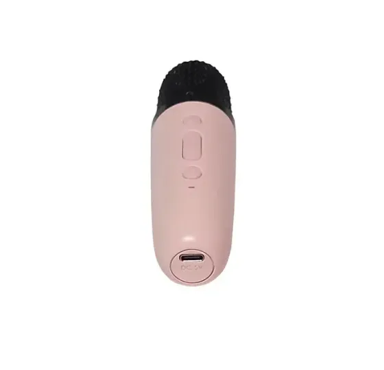 Портативна Bluetooth караоке колонка із 2 мікрофонами 5W BT 5.1 TWS LED FM voice changer Одеса