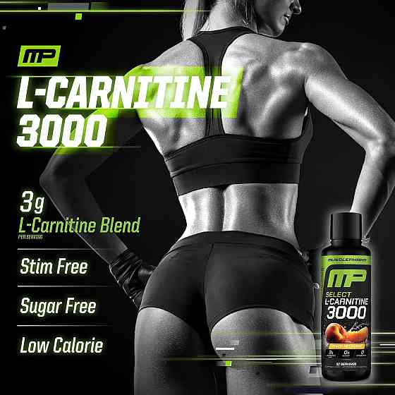 Select L-Carnitine 3000, 480 ml (Peach Nectarine) Луцьк