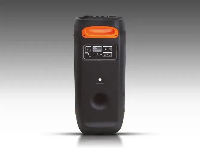 Акустична переносна колонка ZXX-5509 1200Вт 2x6,5" 265х265х620мм TWS/FM/USB/TF/BT/LED/REC/ДК/MIC Київ - фото 3