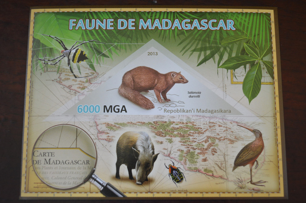 Мадагаскар. Фауна. Личности. Блок. 2014 р. (А-34) Полтава - фото 1