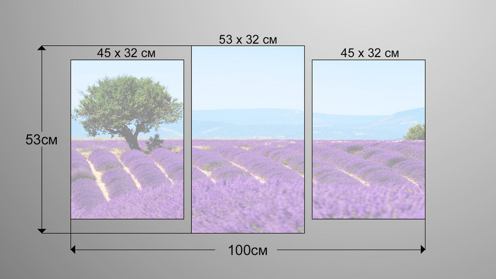 Модульна картина Природа Лаванда Art-41_3 Київ - фото 3