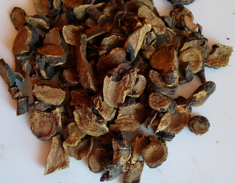 Конский щавель (корень), 100г. MasterSEM Киев - изображение 1