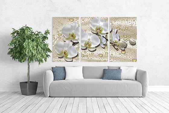 Модульная картина в гостиную / спальню   Біла Орхідея    ART-035_3A Киев