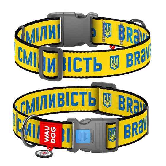 Нашийник для собак нейлоновий WAUDOG Nylon з QR паспортом, малюнок "Сміливість", пластиковий фа Коломыя