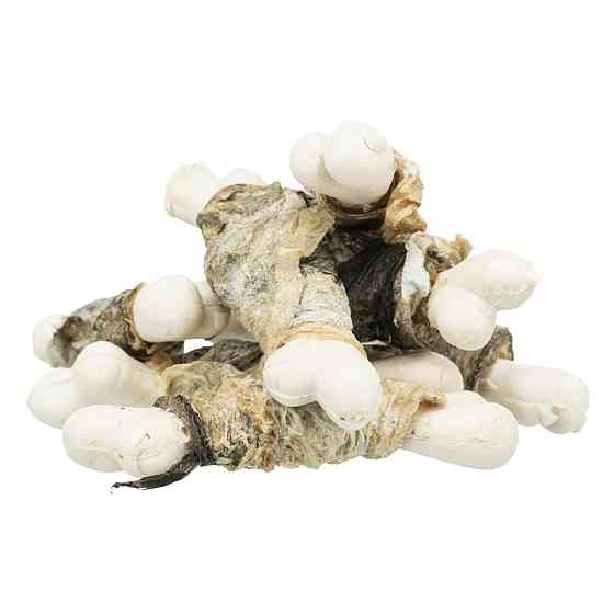 Ласощі для собак Trixie (TX-31599) PREMIO Fishies кістки для собак з рибою 100 г Вінниця