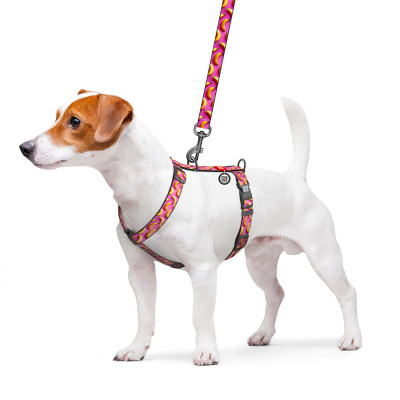 Шлей для собак WAUDOG Nylon анатомическая H-образная с QR-паспортом "Бананы на розовом" пластиковый фастекс, L (345-4055) Винница - изображение 3