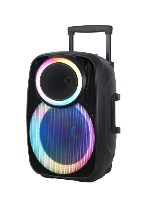 Професійна Bluetooth колонка NDR-A55 15-дюймова з бездротовим мікрофоном Київ - фото 1