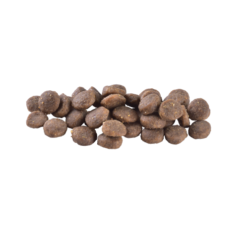 Сухой корм Brit Care Dog Grain-free Puy для щенков, беззерновой с лососем, 1 кг Киев