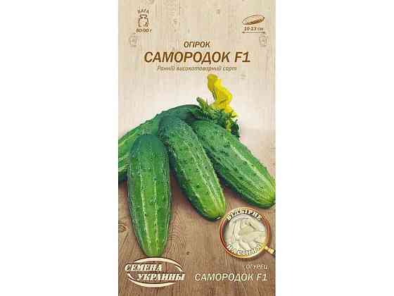 Огірок Самородок F1 ОВ 0,5г (20 пачок) (рс) ТМ НАСІННЯ УКРАЇНИ Київ