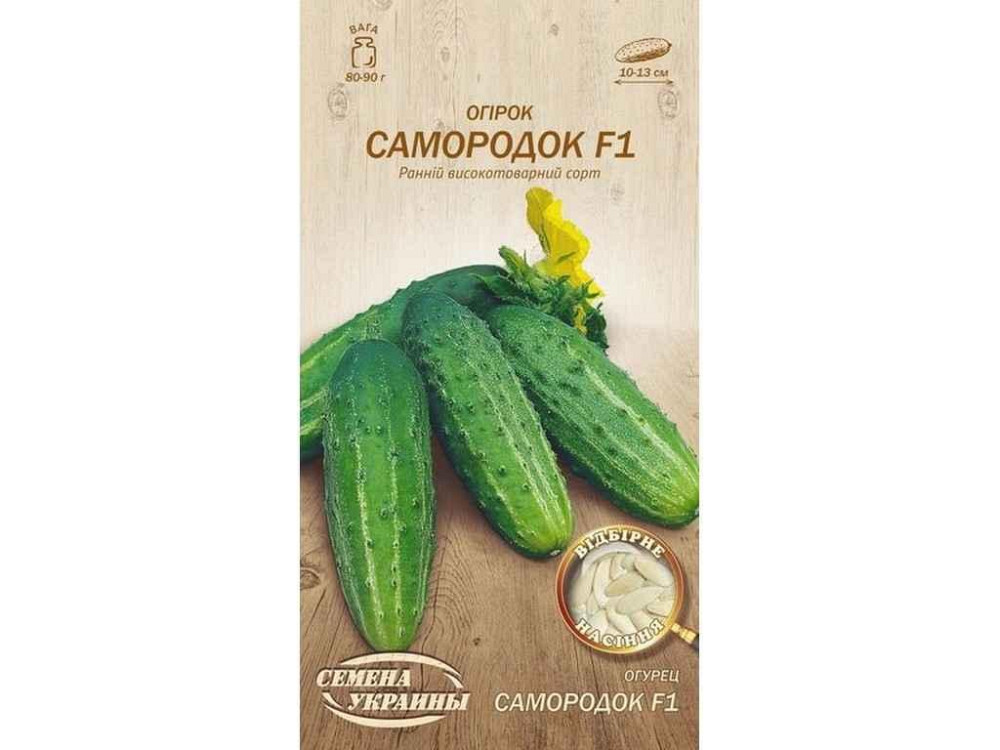 Огірок Самородок F1 ОВ 0,5г (20 пачок) (рс) ТМ НАСІННЯ УКРАЇНИ Київ - фото 1