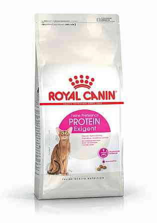Сухий корм Royal Canin Protein Exigent для вибагливих котів до поживності корму від 1 до 7 років на вагу 1 кг Вінниця