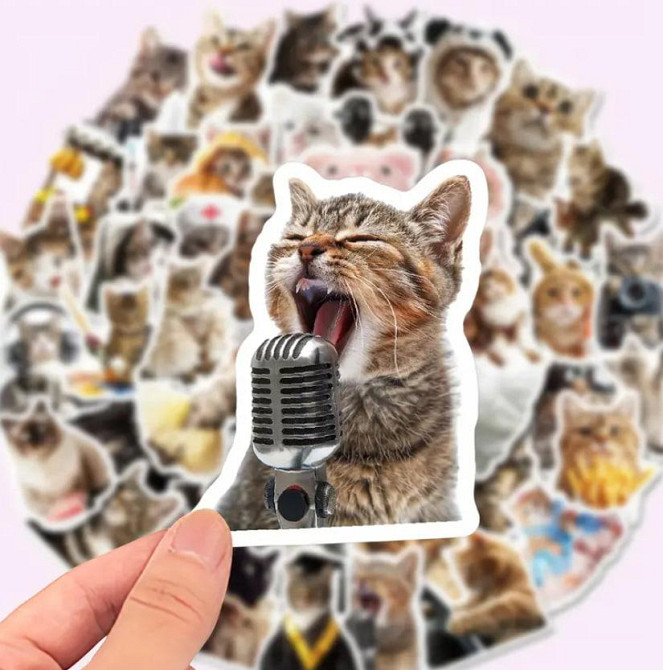 Наклейки Стікери Коти - Водонепроникні Вінілові Естетичні Наклейки з Котами для Пляшки Води, Комп'ют Київ - фото 4